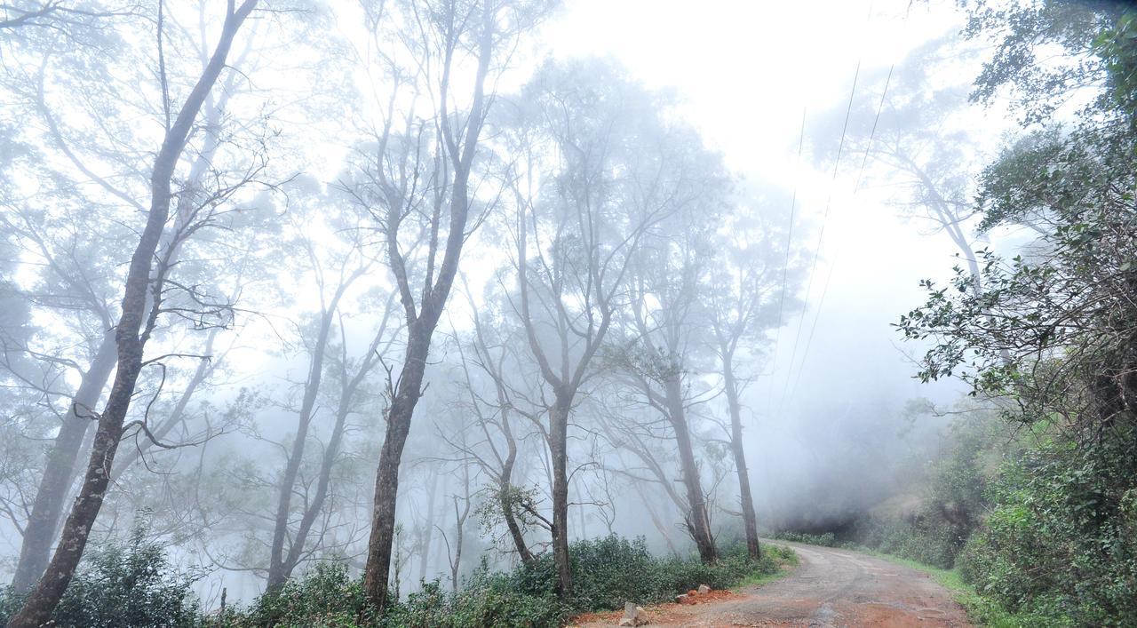 Hotel City Palace Ooty Exterior foto